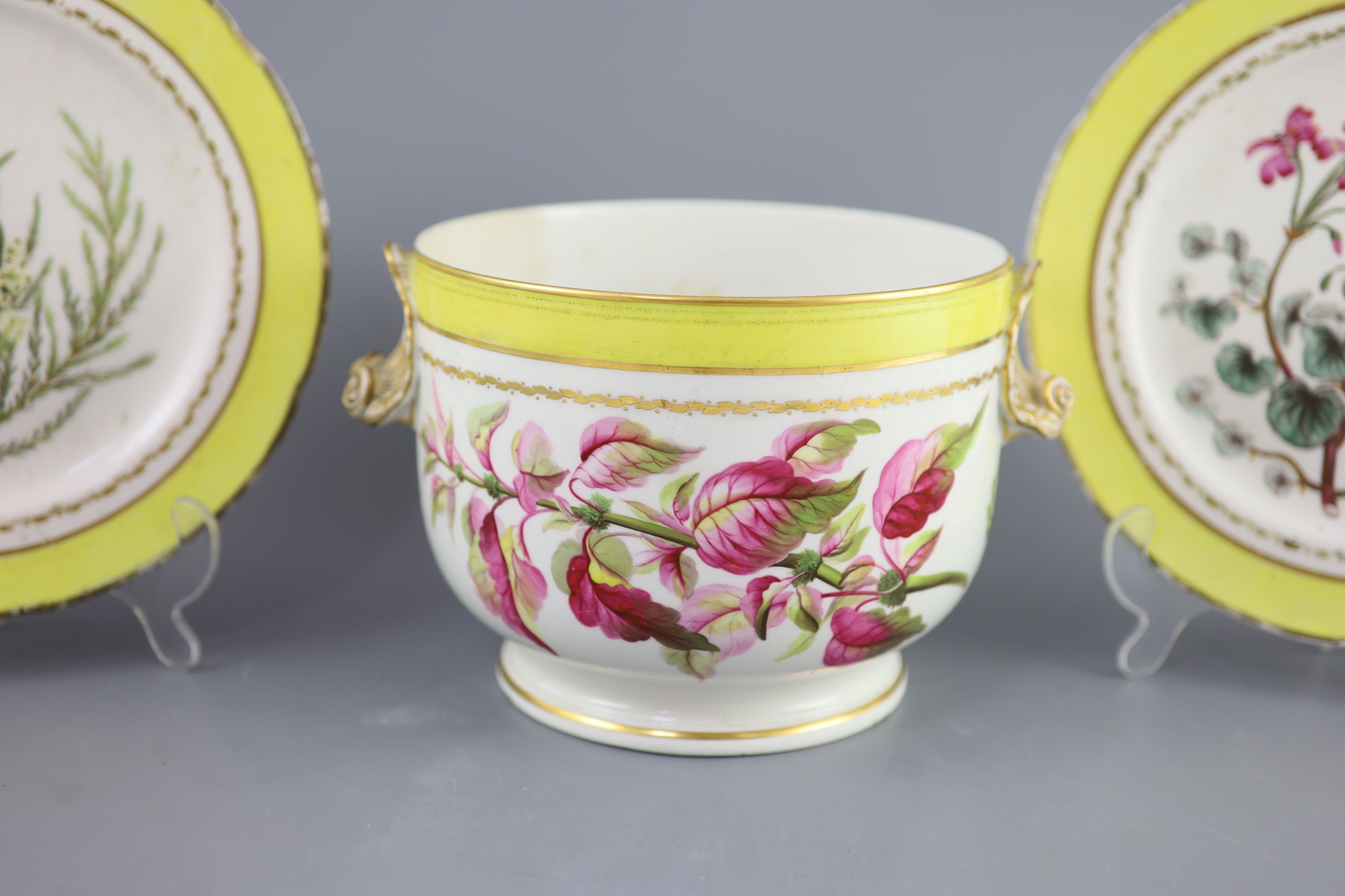 A group of Derby yellow ground botanical dessert and dinner wares, c.1790-1810